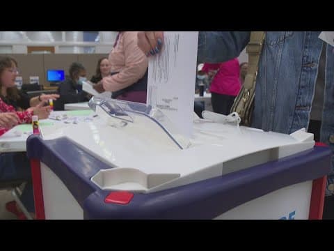 Indiana voters weigh in on state's election laws