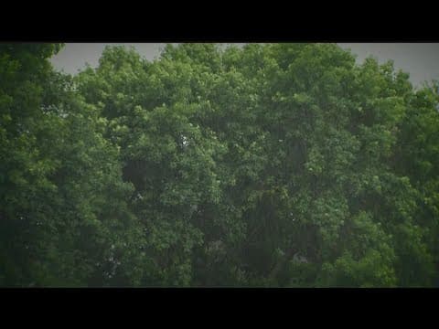 Has the Twin Cities received more rain over the weekends this year in comparison from previous?