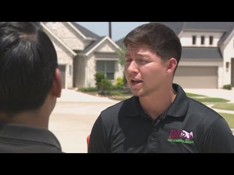 Bees invade a Texas man's home, here's how to avoid the problem