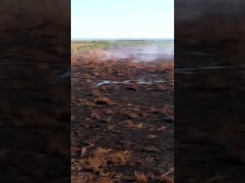 Drone video of ongoing New Orleans East marsh fire