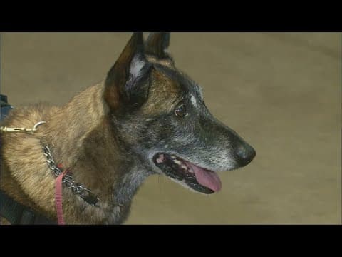 Fairfax County's Virginia Task Force 1 deployed to Texas after deadly flooding