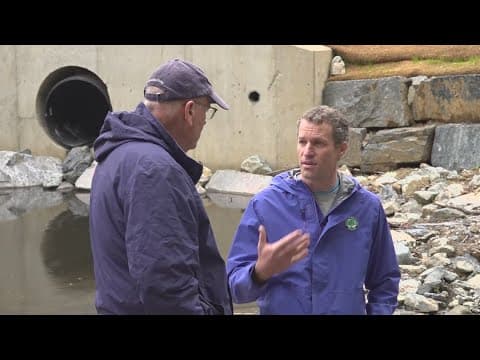 Stream restoration under Purple Line opens forgotten creek to native species in Silver Spring
