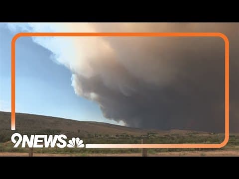 Wildfire smoke isn't just harmful to humans — it can hurt plants, too