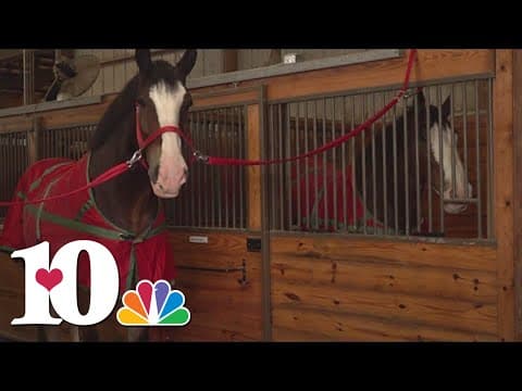 Anheuser-Busch teams with Folds of Honor in scholarship partnership