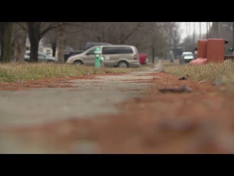 Man says he was attacked by the same dogs that killed an 85-year-old on the east side of Indianapoli