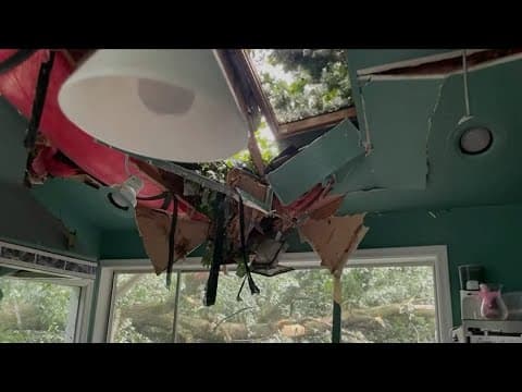 Family recounts moment tree crashes through Tulip Drive home, NWS confirms tornado