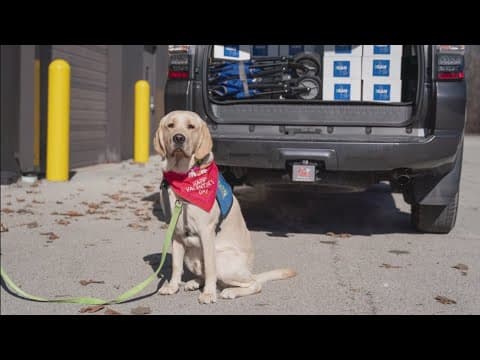 ICAN discusses Puppy Love Valentines event