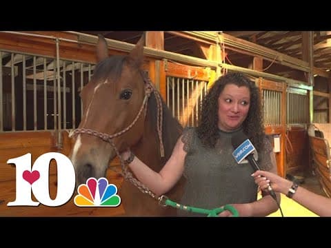 Horse Haven of Tennessee preps for dancing fundraiser