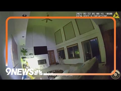 Deputies respond to report of bobcat inside Ken Caryl home