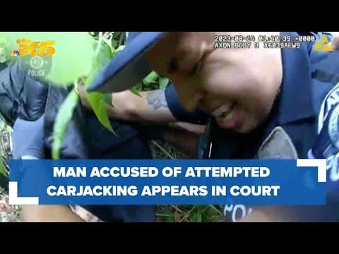 Man accused of attempted carjacking in SR 99 tunnel, fighting with officers appears in court