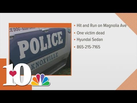 Pedestrian killed after hit-and-run crash in East Knoxville