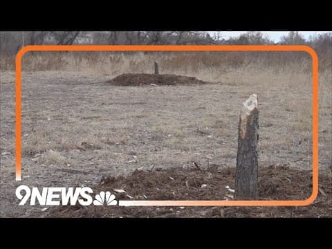 Suspect accused of vandalizing memorial garden multiple times turns himself in