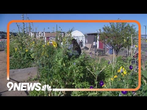 Denver's top-performing middle school uses farm-based learning to teach sustainability