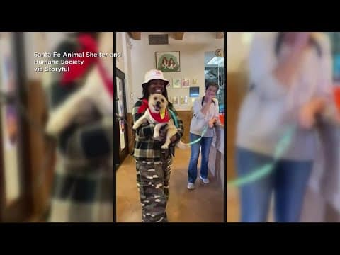 Maryland truck driver reunited with lost dog