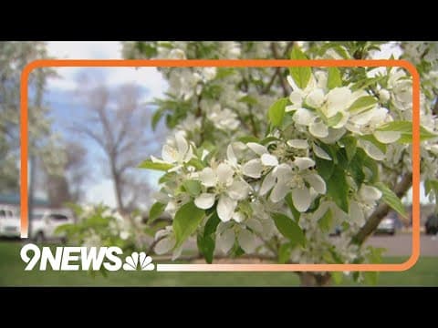 Environmental impacts on our health