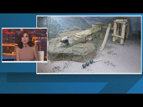 'Boo At The Zoo' canceled due to government shutdown