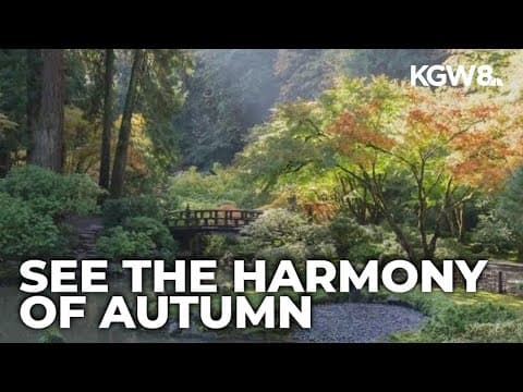 Portland Japanese Garden expands hours so you can take in the beautiful fall colors