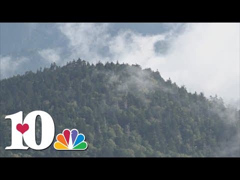 Neighbor who lived in Sevier Co. for decades watching 407 Gateway development bring tourists