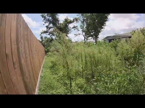 Houston neighborhood battles six-foot weeds and dumped carpets