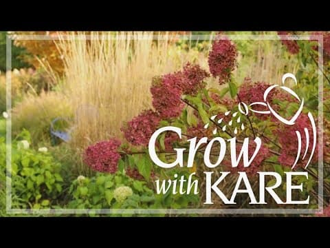 Grow with KARE: Pruning Hydrangeas