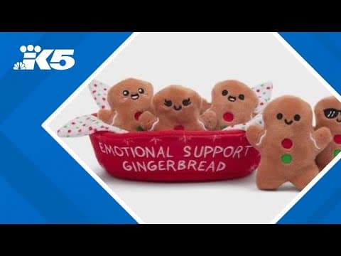 YouTube thumbnail for video khi3RKVtJEA
