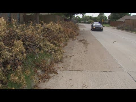 3 weeks after severe storms, cities are still working to collect debris