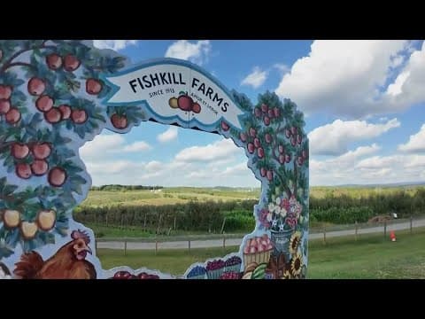 New York farm utilizes drones, GPS to modernize apple picking