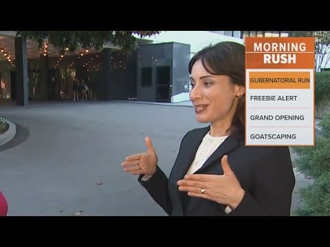 Democratic Representative announces bid to be Texas governor