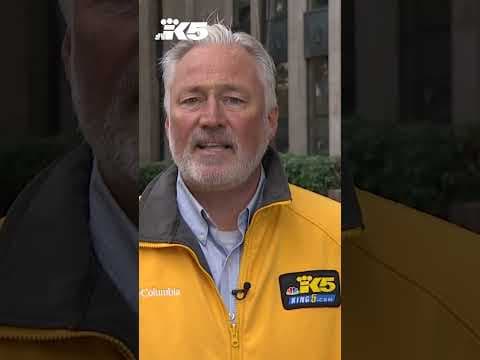 Bellingham residents fed up with large homeless encampment