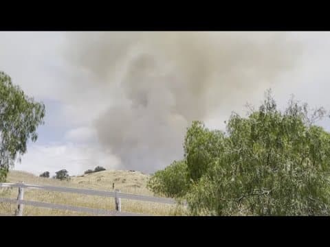 Cal Fire sues for $800K in costs from 2022 Ramona wildfire