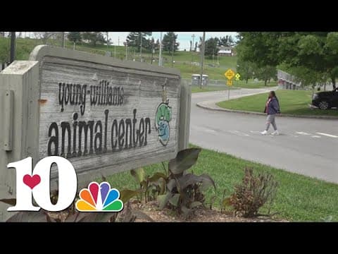 Young Williams Animal Center seeing rise in population of puppies and kittens during spring months