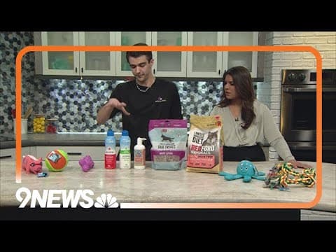 Tips for managing spring allergies in pets