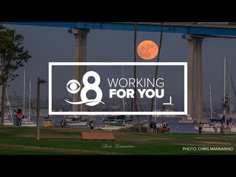Working For You | Stories for the San Diego community (Sept 6)