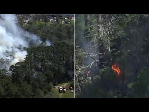 North Houston park closed due to brush fire, city says