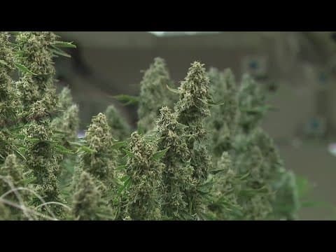 Community has mixed reactions after New Albany bans sale of recreational marijuana