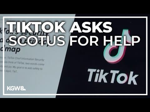TikTok asks Supreme Court to block potential ban