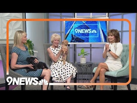 Petline9: These 2-month-old pups are almost ready to be adopted