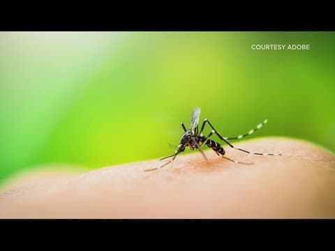 Concerns in parts of US about mosquito-borne illnesses