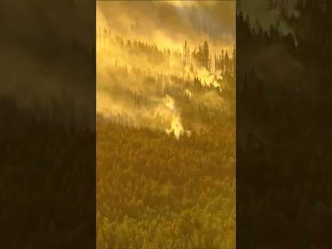 Pearl Fire: Wildfire burns northwestern Colorado forest