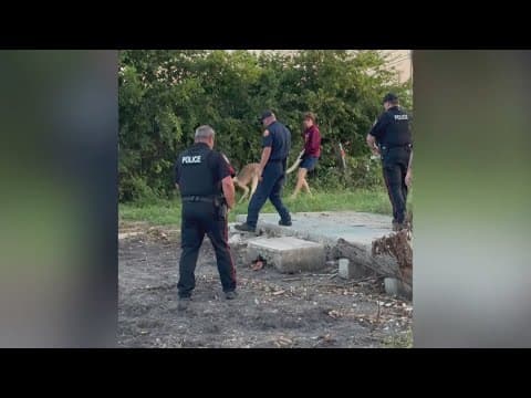 Two kangaroos rescued after escaping from a wildlife rescue