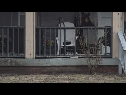 Parents charged after 8-year-old dies from fentanyl overdose on Indy's near north side