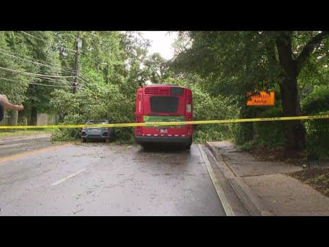 Severe storm brings tree onto Metro bus and car