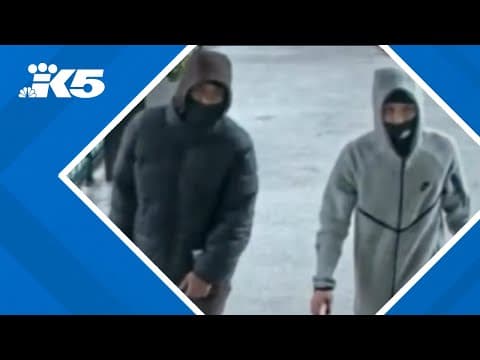 Teen suspect accused of multiple crimes against the elderly pleads not guilty