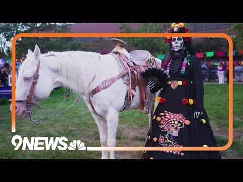 Amor a la Mexicana Fest happening this Saturday