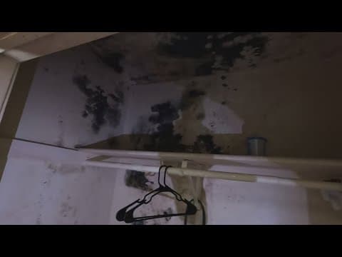 Problems persist at Willows Apartment Complex in New Orleans