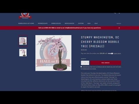 Stumpy lives as new bobble tree from Bobble Head Hall of Fame