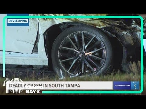 Police investigating deadly overnight crash in south Tampa