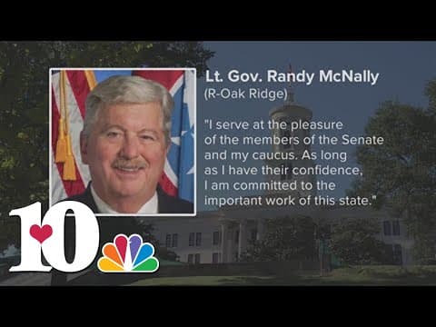 TN lawmaker calls for TBI probe into Lt. Gov. McNally's social media activity