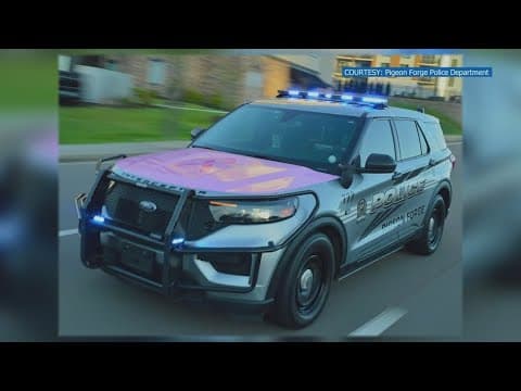 Pigeon Forge Police Department riding in pink this month