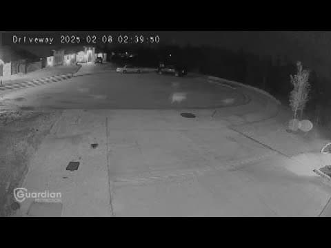 Fort Worth officials say they will help secure dogs running in packs in Godley